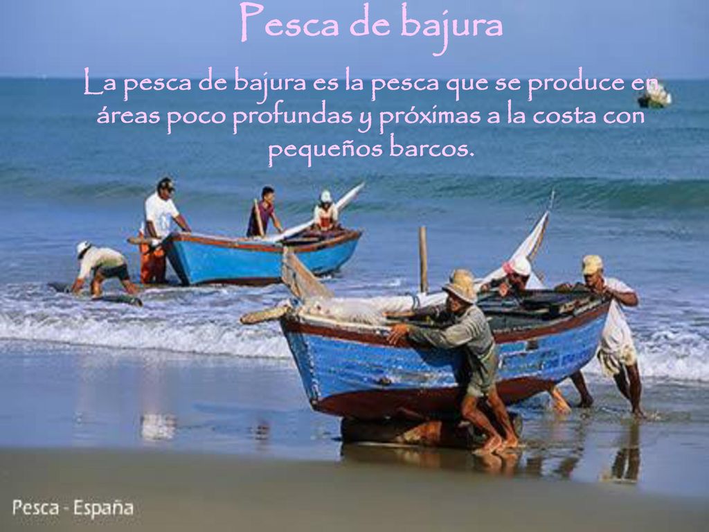 Pesca de bajura La pesca de bajura es la pesca que se produce en áreas poco profundas y próximas a la costa con pequeños barcos.