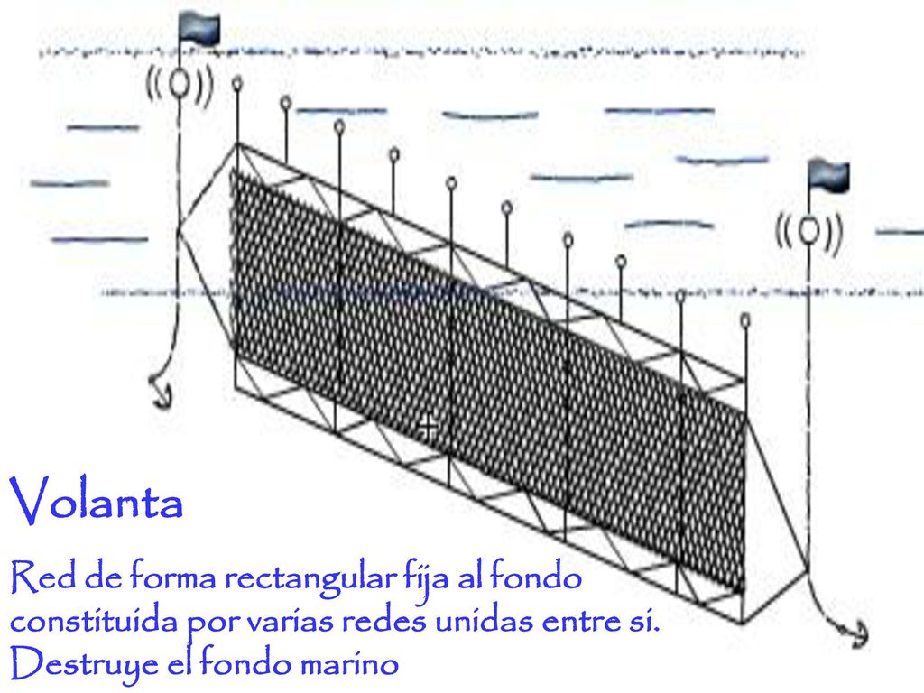 Volanta Red de forma rectangular fija al fondo constituida por varias redes unidas entre si.