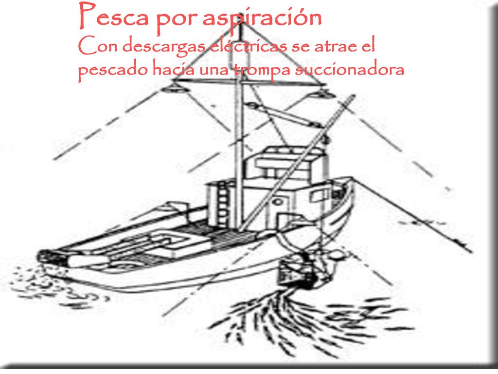 Pesca por aspiración Con descargas eléctricas se atrae el pescado hacia una trompa succionadora
