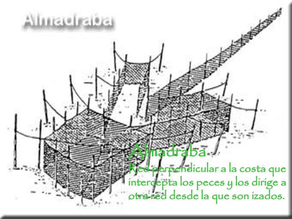 Almadraba Red perpendicular a la costa que intercepta los peces y los dirige a otra red desde la que son izados.