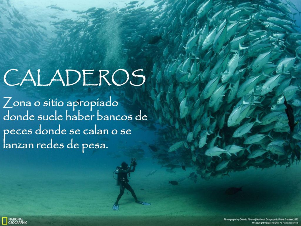 CALADEROS Zona o sitio apropiado donde suele haber bancos de peces donde se calan o se lanzan redes de pesa.
