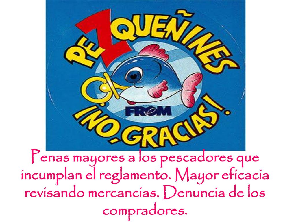 Penas mayores a los pescadores que incumplan el reglamento