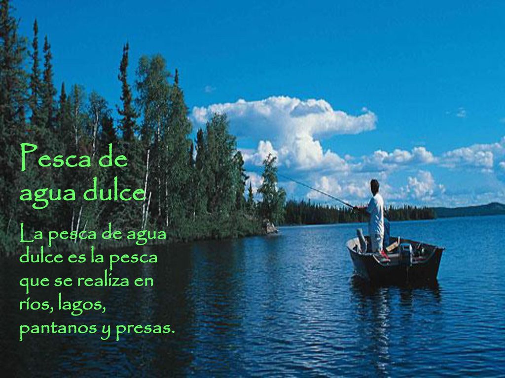 Pesca de agua dulce La pesca de agua dulce es la pesca que se realiza en ríos, lagos, pantanos y presas.