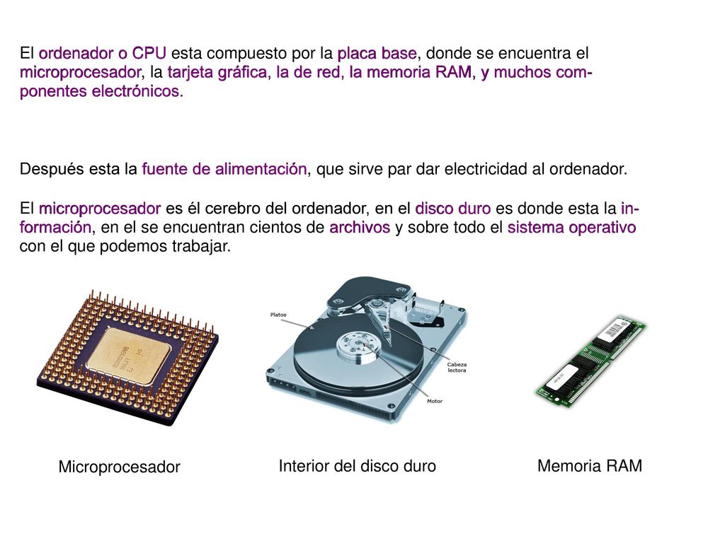 El ordenador o CPU esta compuesto por la placa base, donde se encuentra el