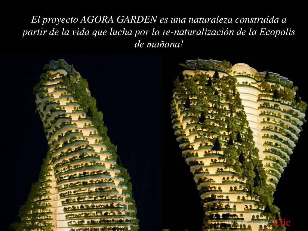 El proyecto AGORA GARDEN es una naturaleza construida a partir de la vida que lucha por la re-naturalización de la Ecopolis de mañana!