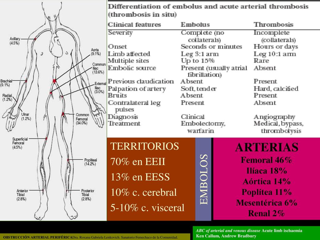TERRITORIOS 70% en EEII. 13% en EESS. 10% c. cerebral. 5-10% c. visceral.