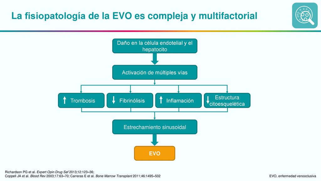 La fisiopatología de la EVO es compleja y multifactorial