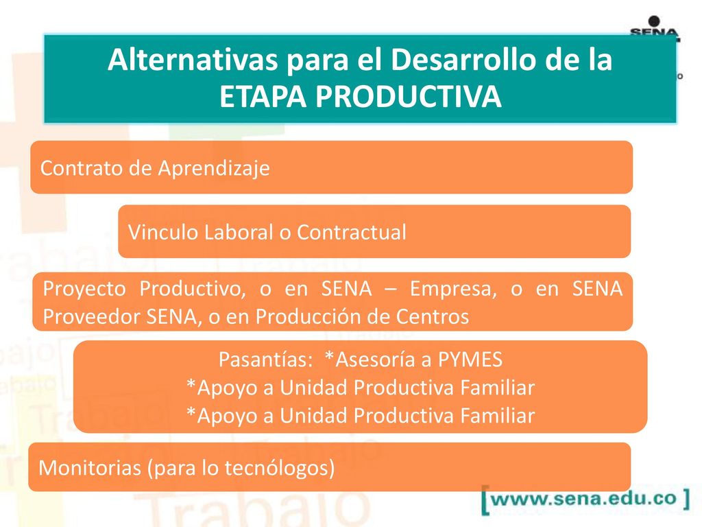 Alternativas para el Desarrollo de la ETAPA PRODUCTIVA