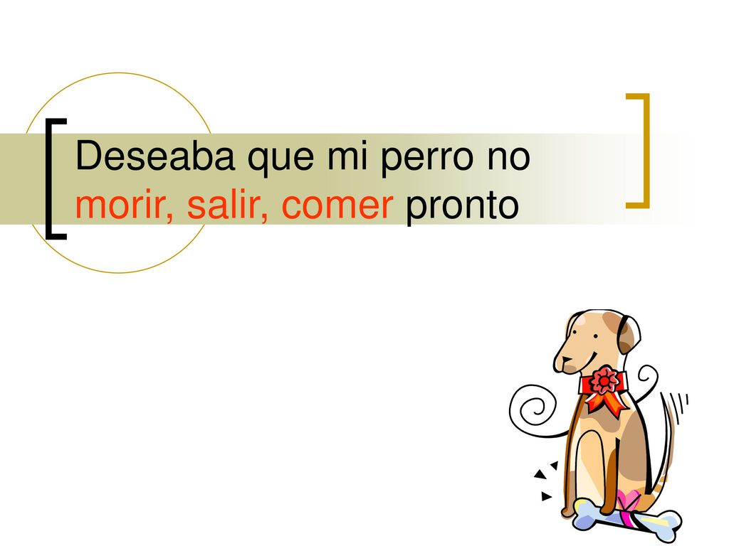 Deseaba que mi perro no morir, salir, comer pronto
