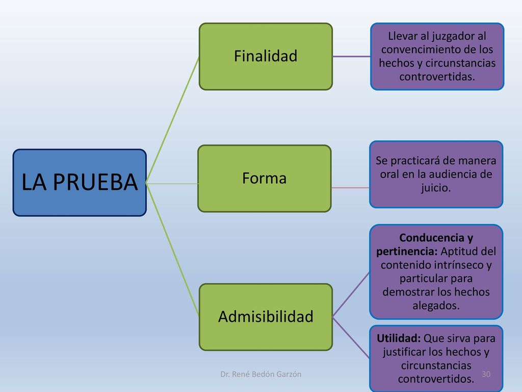 Se practicará de manera oral en la audiencia de juicio.
