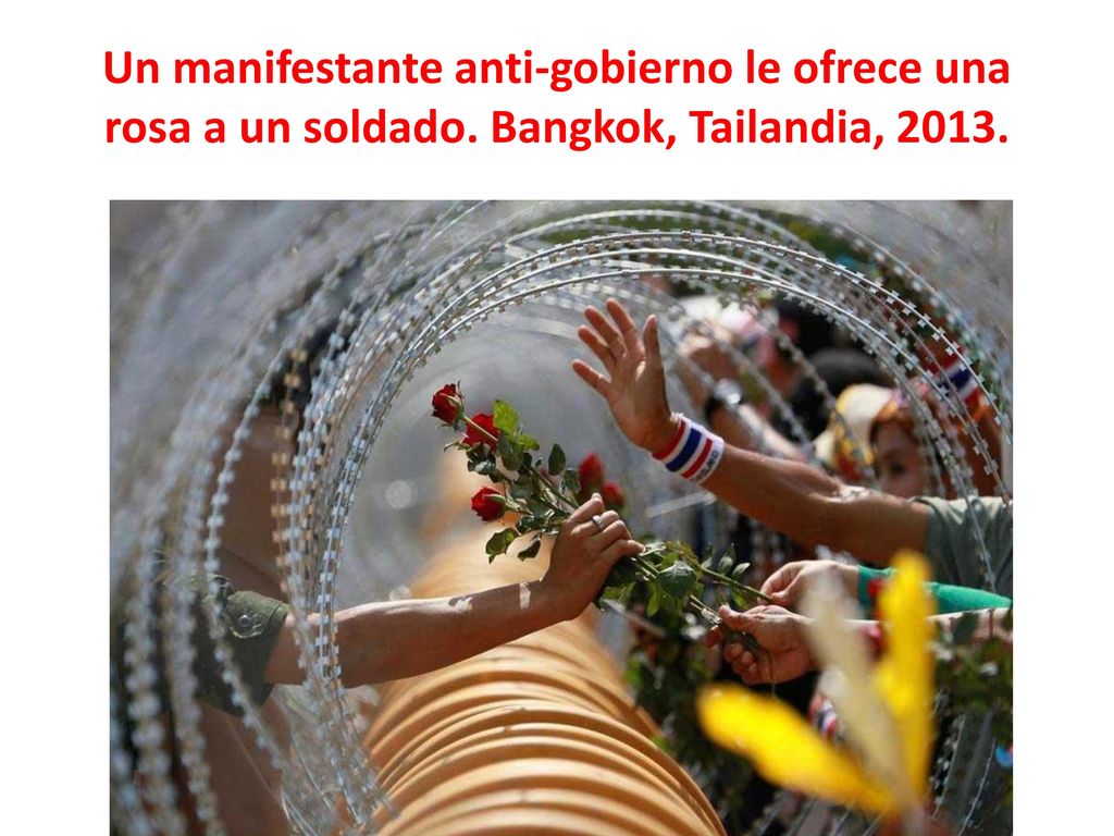 Un manifestante anti-gobierno le ofrece una rosa a un soldado