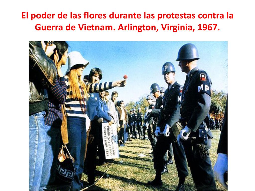El poder de las flores durante las protestas contra la Guerra de Vietnam. Arlington, Virginia, 1967.