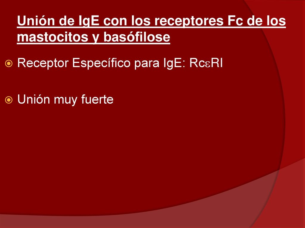 Unión de IgE con los receptores Fc de los mastocitos y basófilose
