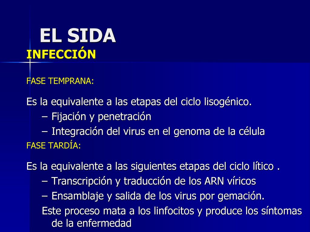 EL SIDA INFECCIÓN Es la equivalente a las etapas del ciclo lisogénico.