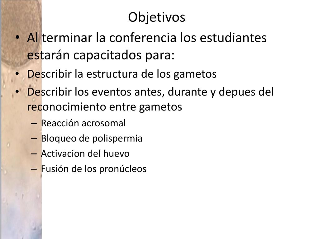 Objetivos Al terminar la conferencia los estudiantes estarán capacitados para: Describir la estructura de los gametos.