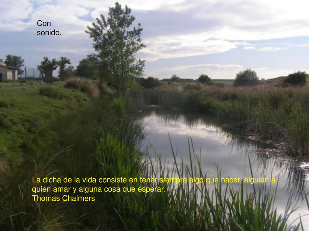Con sonido. La dicha de la vida consiste en tener siempre algo que hacer, alguien a quien amar y alguna cosa que esperar.