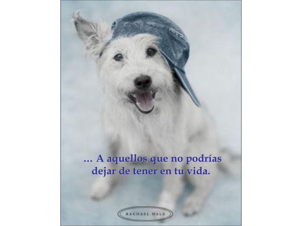 … A aquellos que no podrías dejar de tener en tu vida.