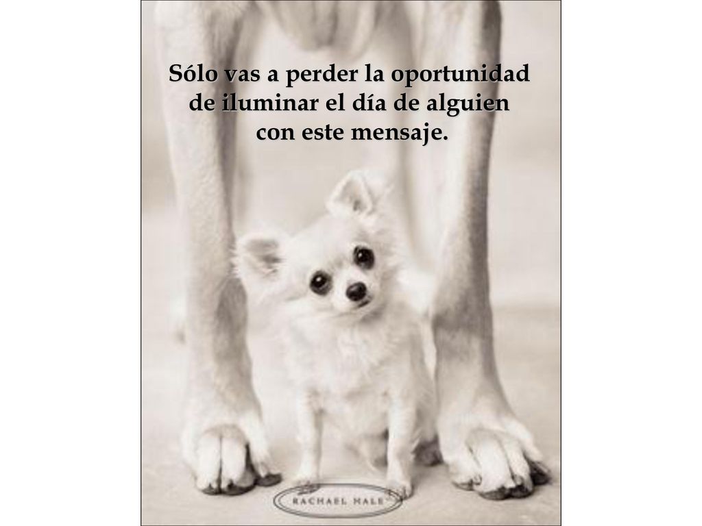 Sólo vas a perder la oportunidad de iluminar el día de alguien
