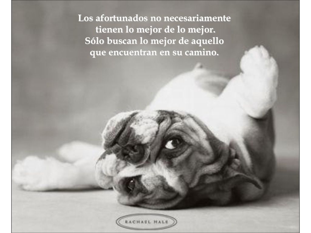 Los afortunados no necesariamente tienen lo mejor de lo mejor.