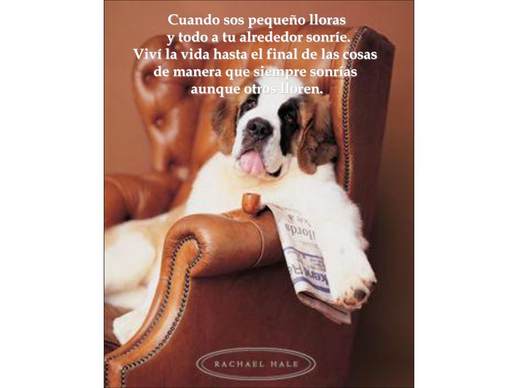 Cuando sos pequeño lloras y todo a tu alrededor sonríe.