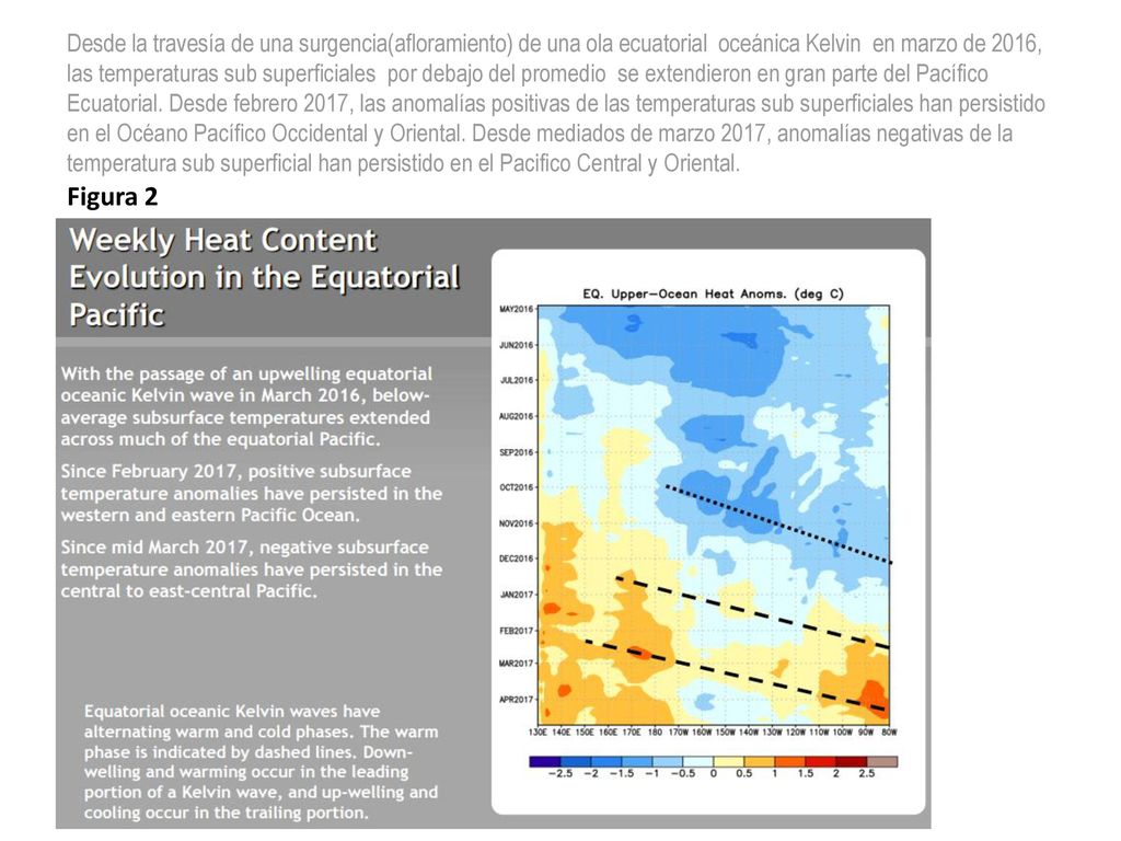 Desde la travesía de una surgencia(afloramiento) de una ola ecuatorial oceánica Kelvin en marzo de 2016, las temperaturas sub superficiales por debajo del promedio se extendieron en gran parte del Pacífico Ecuatorial. Desde febrero 2017, las anomalías positivas de las temperaturas sub superficiales han persistido en el Océano Pacífico Occidental y Oriental. Desde mediados de marzo 2017, anomalías negativas de la temperatura sub superficial han persistido en el Pacifico Central y Oriental.