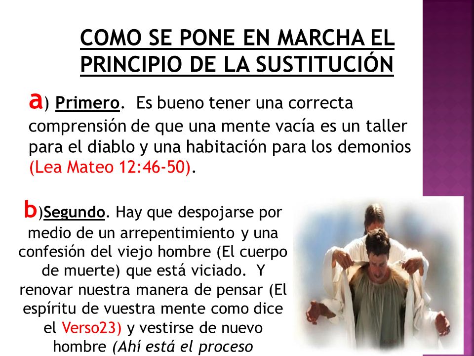 COMO SE PONE EN MARCHA EL PRINCIPIO DE LA SUSTITUCIÓN