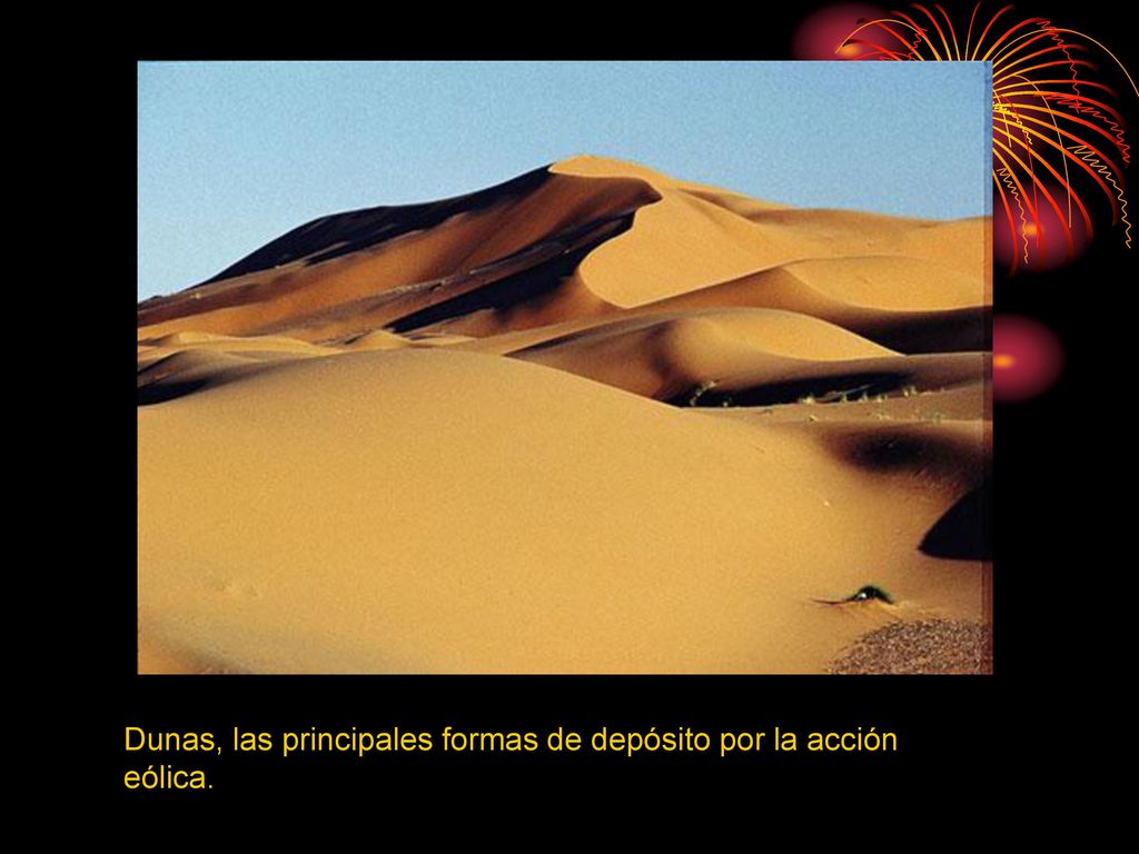 Dunas, las principales formas de depósito por la acción eólica.