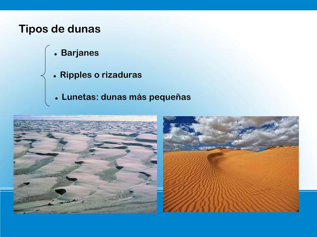 Tipos de dunas Barjanes Ripples o rizaduras