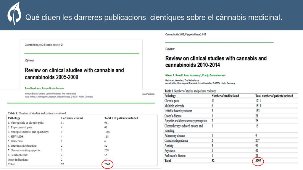 The Organization Què diuen les darreres publicacions cientíques sobre el cànnabis medicinal.