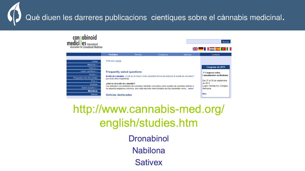 The Organization Què diuen les darreres publicacions cientíques sobre el cànnabis medicinal.