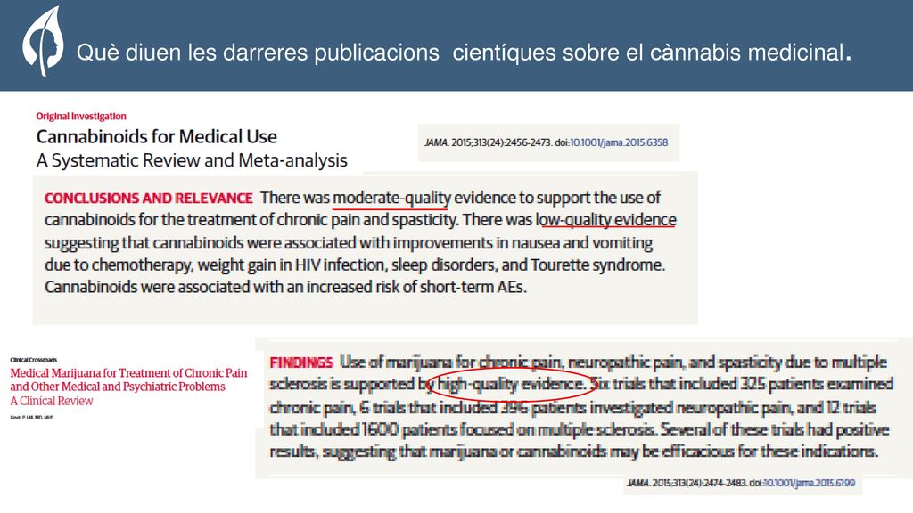 The Organization Què diuen les darreres publicacions cientíques sobre el cànnabis medicinal.