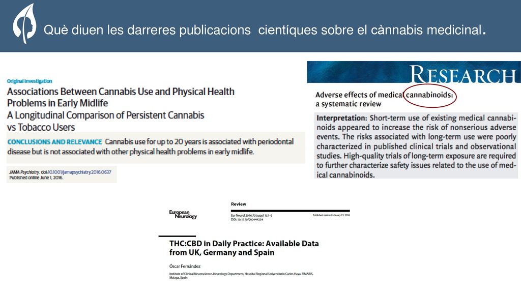 The Organization Què diuen les darreres publicacions cientíques sobre el cànnabis medicinal.