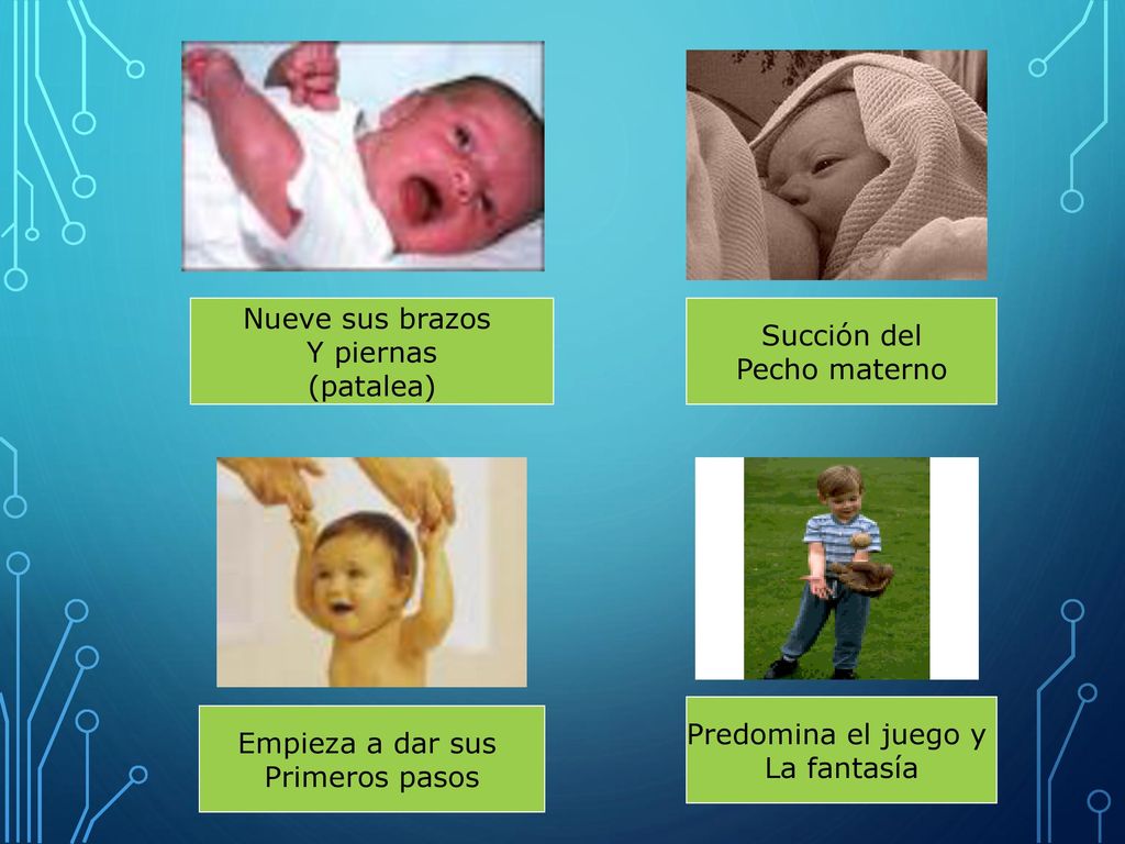 Nueve sus brazos Y piernas. (patalea) Succión del. Pecho materno. Predomina el juego y. La fantasía.