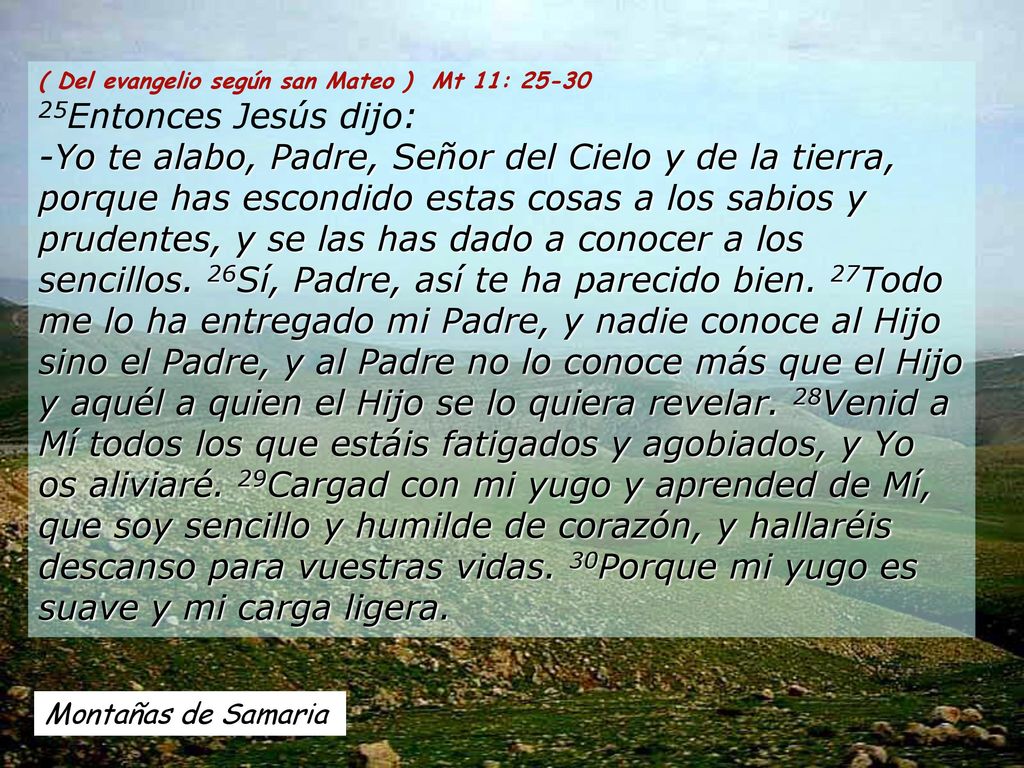 ( Del evangelio según san Mateo ) Mt 11: 25-30