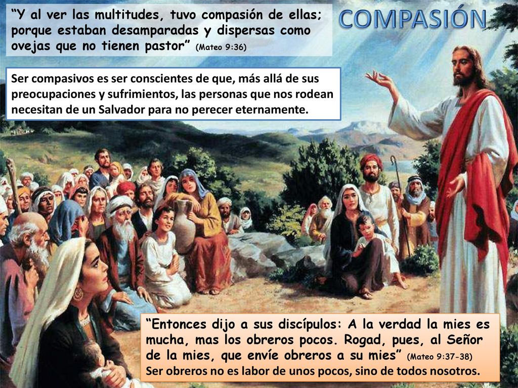 COMPASIÓN Y al ver las multitudes, tuvo compasión de ellas; porque estaban desamparadas y dispersas como ovejas que no tienen pastor (Mateo 9:36)