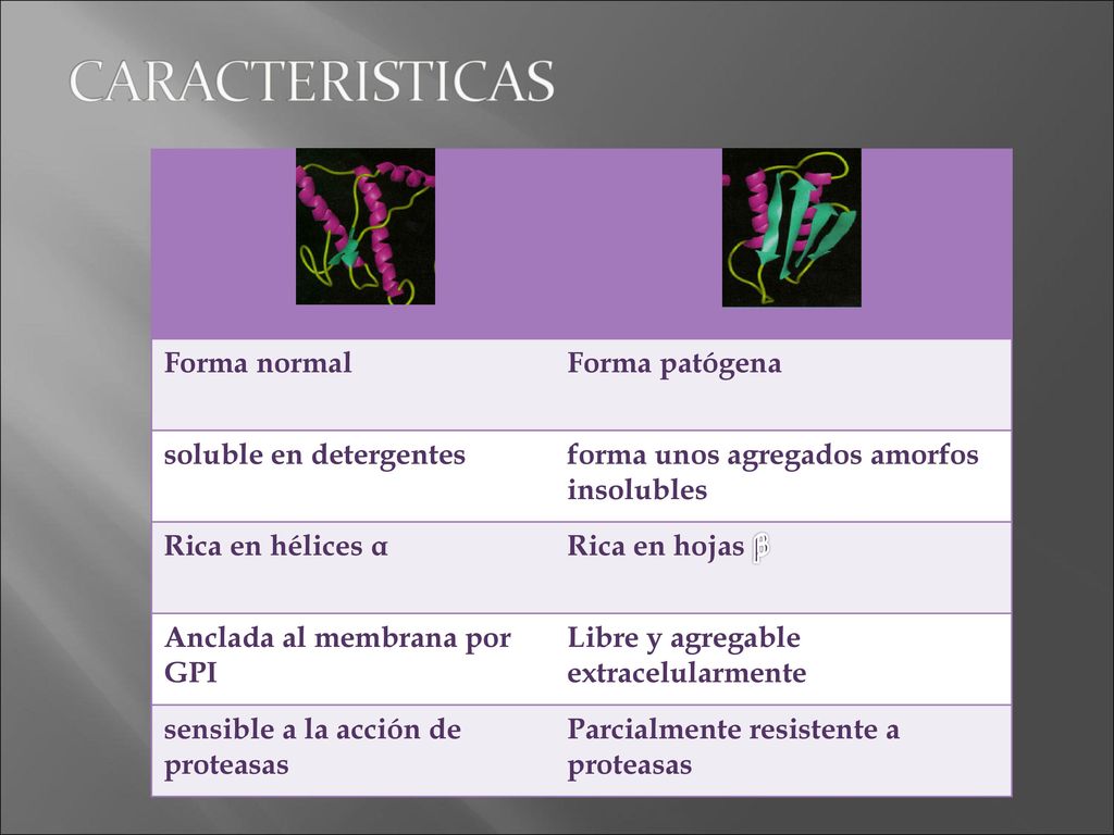 Forma normal Forma patógena. soluble en detergentes. forma unos agregados amorfos insolubles. Rica en hélices α.