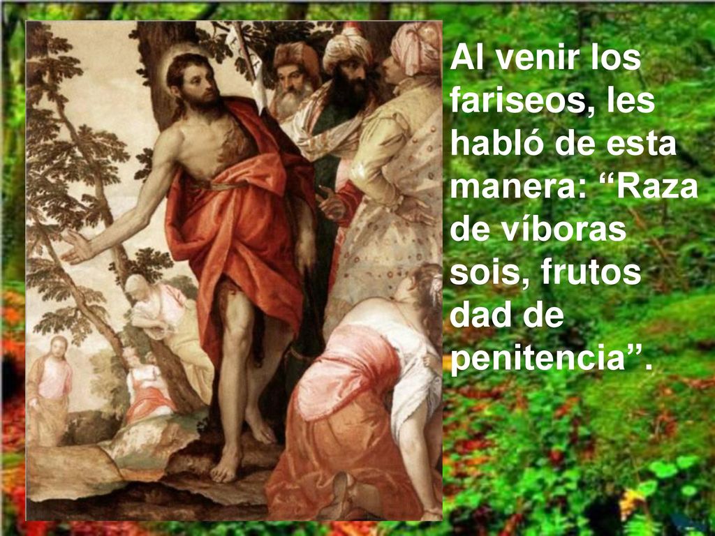 Al venir los fariseos, les habló de esta manera: Raza de víboras sois, frutos dad de penitencia .