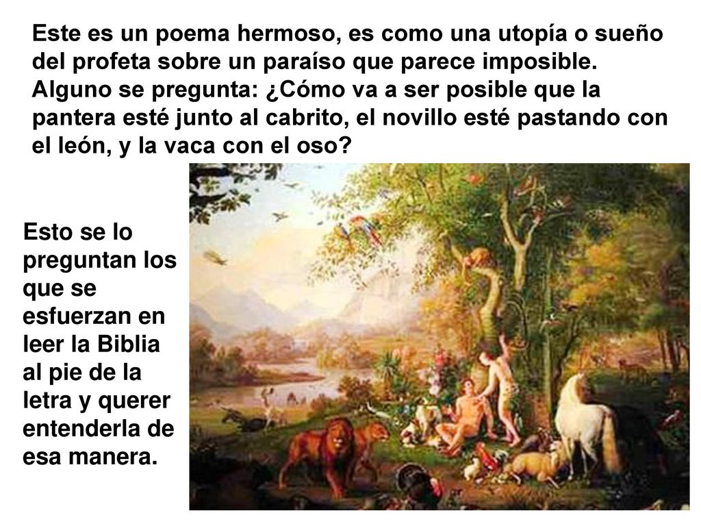 Este es un poema hermoso, es como una utopía o sueño del profeta sobre un paraíso que parece imposible. Alguno se pregunta: ¿Cómo va a ser posible que la pantera esté junto al cabrito, el novillo esté pastando con el león, y la vaca con el oso