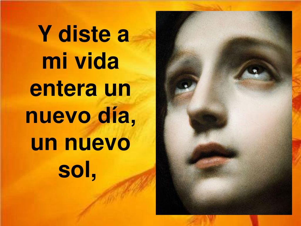 Y diste a mi vida entera un nuevo día, un nuevo sol,