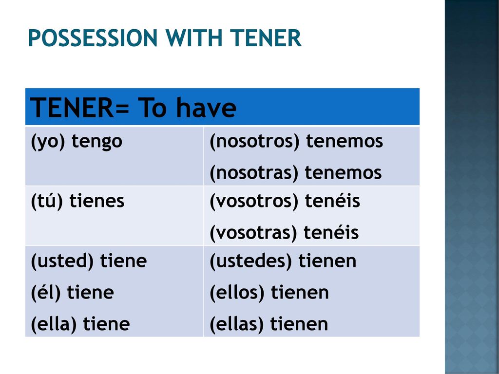 TENER= To have Possession with TENER (yo) tengo (nosotros) tenemos