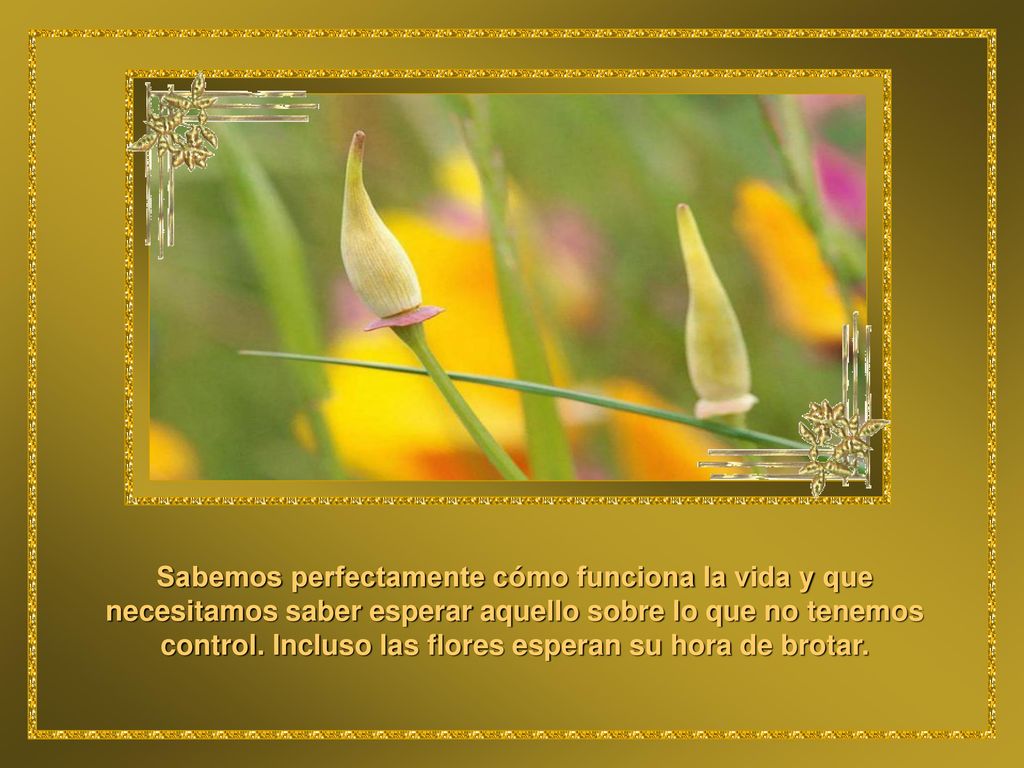 Sabemos perfectamente cómo funciona la vida y que necesitamos saber esperar aquello sobre lo que no tenemos control.