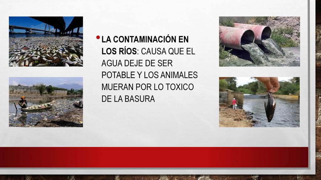 La contaminación en los ríos: Causa que el agua deje de ser potable y los animales mueran por lo toxico de la basura