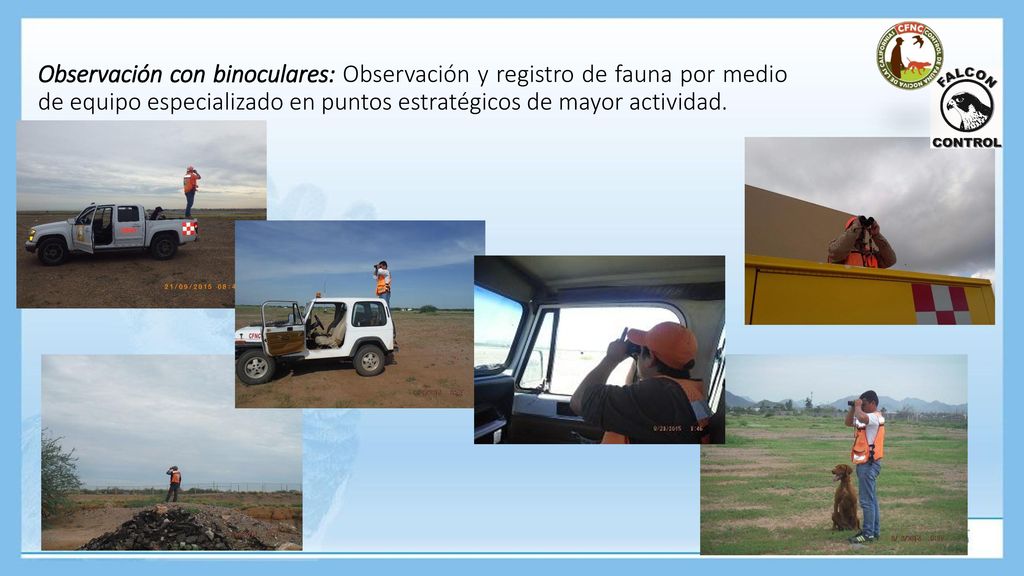 Observación con binoculares: Observación y registro de fauna por medio de equipo especializado en puntos estratégicos de mayor actividad.