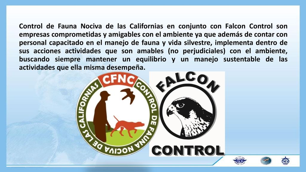 Control de Fauna Nociva de las Californias en conjunto con Falcon Control son empresas comprometidas y amigables con el ambiente ya que además de contar con personal capacitado en el manejo de fauna y vida silvestre, implementa dentro de sus acciones actividades que son amables (no perjudiciales) con el ambiente, buscando siempre mantener un equilibrio y un manejo sustentable de las actividades que ella misma desempeña.