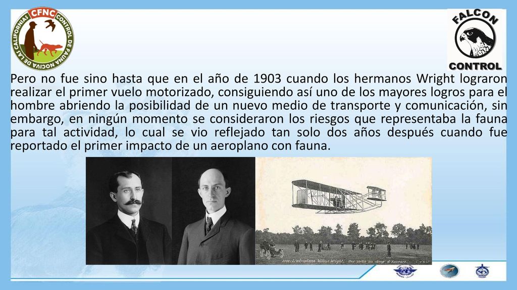 Pero no fue sino hasta que en el año de 1903 cuando los hermanos Wright lograron realizar el primer vuelo motorizado, consiguiendo así uno de los mayores logros para el hombre abriendo la posibilidad de un nuevo medio de transporte y comunicación, sin embargo, en ningún momento se consideraron los riesgos que representaba la fauna para tal actividad, lo cual se vio reflejado tan solo dos años después cuando fue reportado el primer impacto de un aeroplano con fauna.