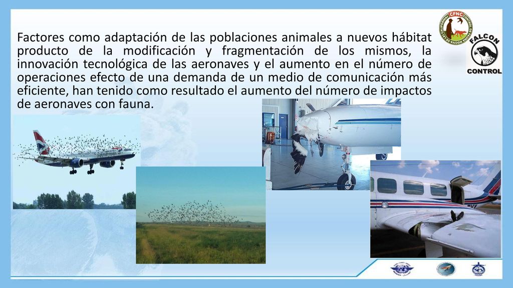 Factores como adaptación de las poblaciones animales a nuevos hábitat producto de la modificación y fragmentación de los mismos, la innovación tecnológica de las aeronaves y el aumento en el número de operaciones efecto de una demanda de un medio de comunicación más eficiente, han tenido como resultado el aumento del número de impactos de aeronaves con fauna.