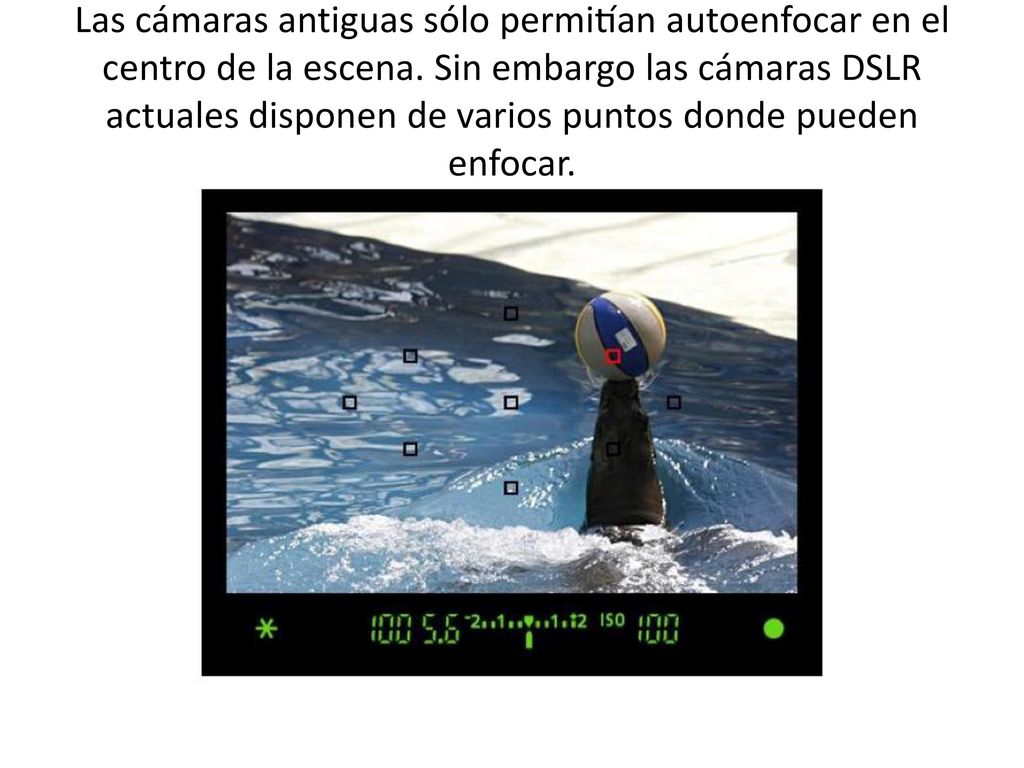Las cámaras antiguas sólo permitían autoenfocar en el centro de la escena.