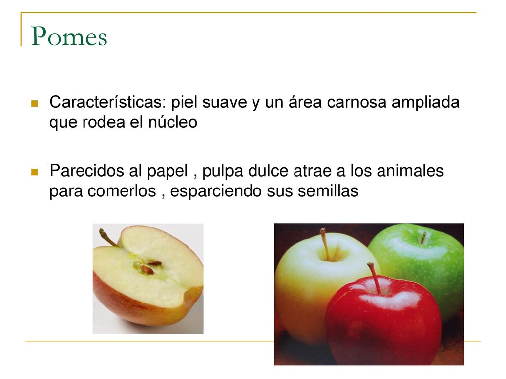Pomes Características: piel suave y un área carnosa ampliada que rodea el núcleo.