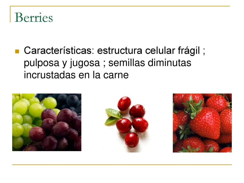 Berries Características: estructura celular frágil ; pulposa y jugosa ; semillas diminutas incrustadas en la carne.
