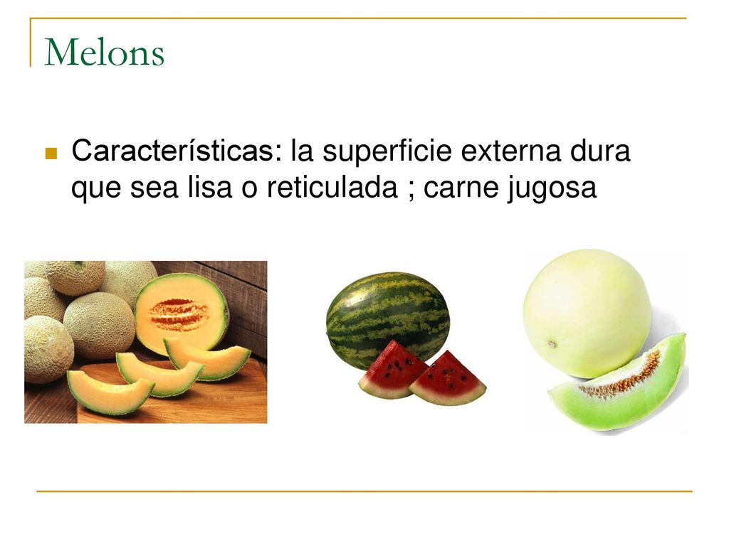Melons Características: la superficie externa dura que sea lisa o reticulada ; carne jugosa